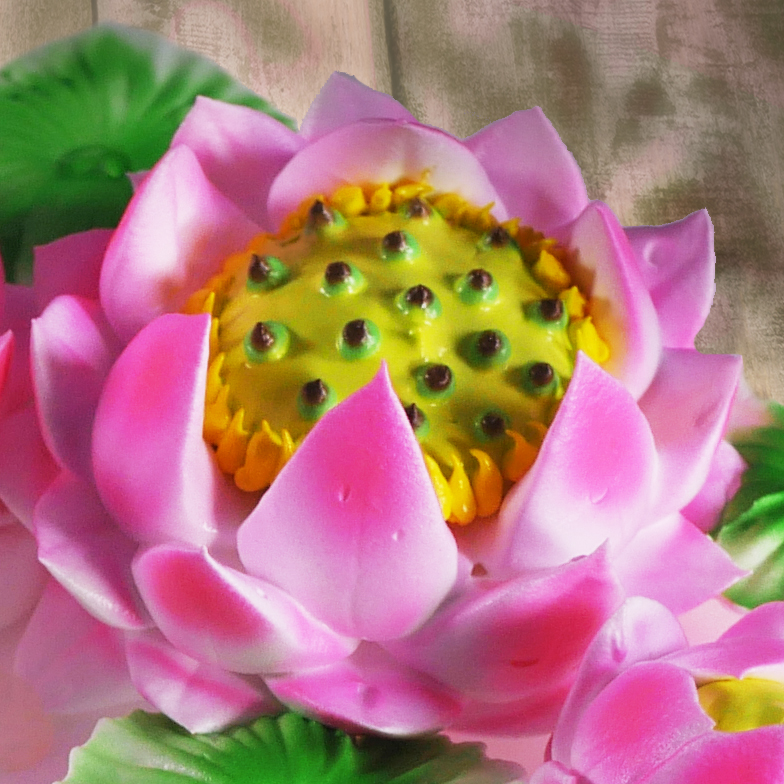 Lotus Flower Cake